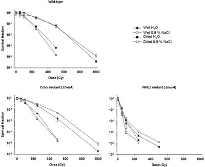 Aspergillus niger Spores Are Highly Resistant to Space Radiation